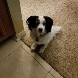 Meet your Posher, Taina